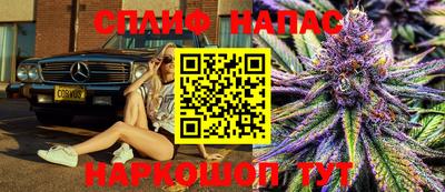 СК Тверь