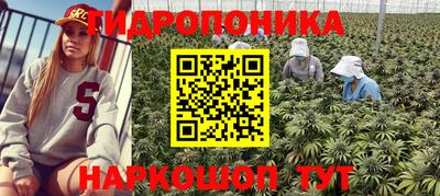 PSILOCYBIN Татарск