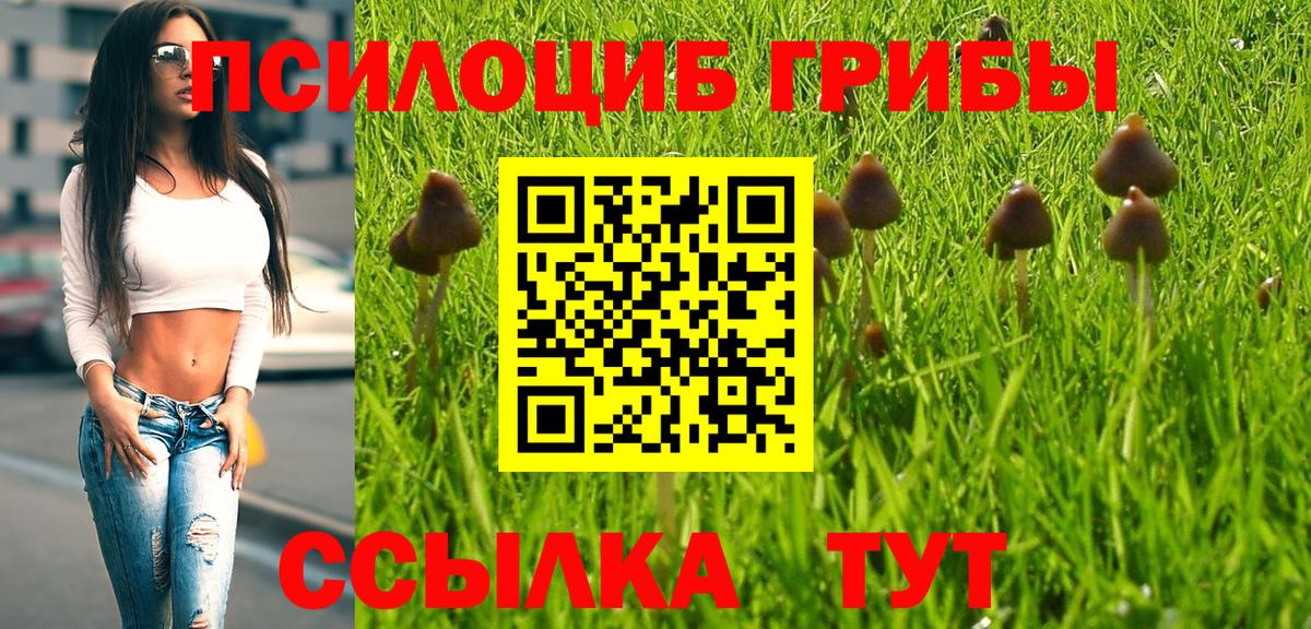 Псилоцибиновые грибы Magic Shrooms  Вход с VPN  Артёмовский 